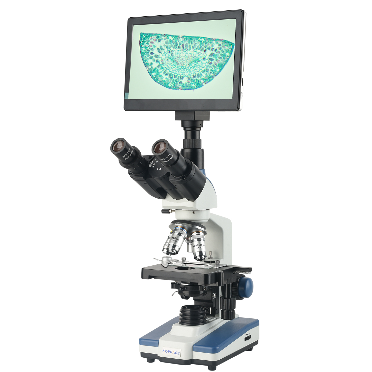 กล้องจุลทรรศน์อิเล็กตรอนแบบประ - Microscope Compound 40X บทวิจารณ์และราคา
